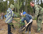 Район Матушкино украсили молодые деревца