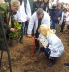 Жители Подмосковья и Зеленограда посадили деревья для будущих поколений 